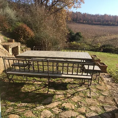 Verde Oliva * Todi