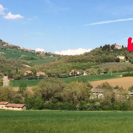 Verde Oliva *