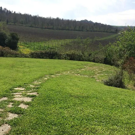 Verde Oliva Todi