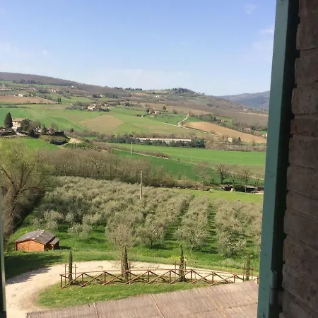 Verde Oliva *