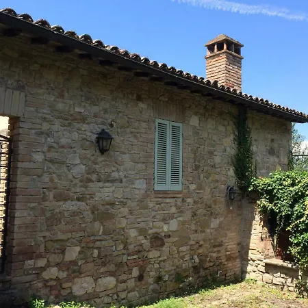 Verde Oliva Todi