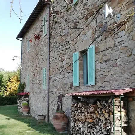 Verde Oliva Todi